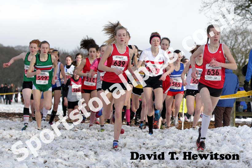 636 Harriet Knowles-Jones (Warrington) leads the under-15 girls Northern Cross Country Championships.